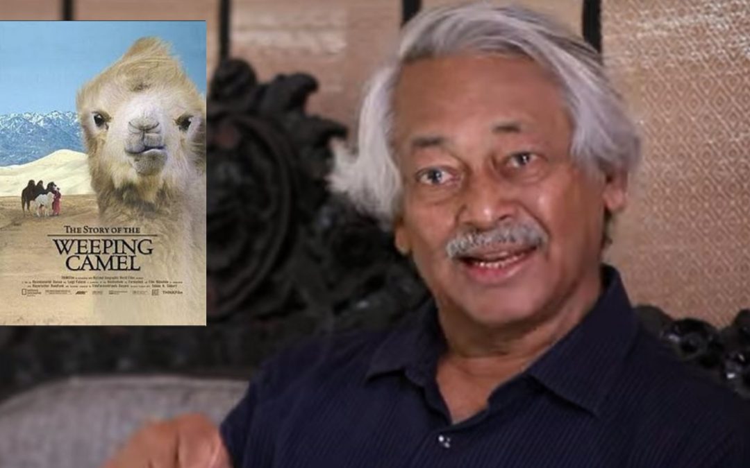 ಸಾಕ್ಷ್ಯ ಚಿತ್ರಕ್ಕೆ, ಕಥಾ ಚಿತ್ರದ ಲೇಪನ: ದ ಸ್ಟೋರಿ ಆಫ್ ದ ವೀಪಿಂಗ್ ಕ್ಯಾಮಲ್
