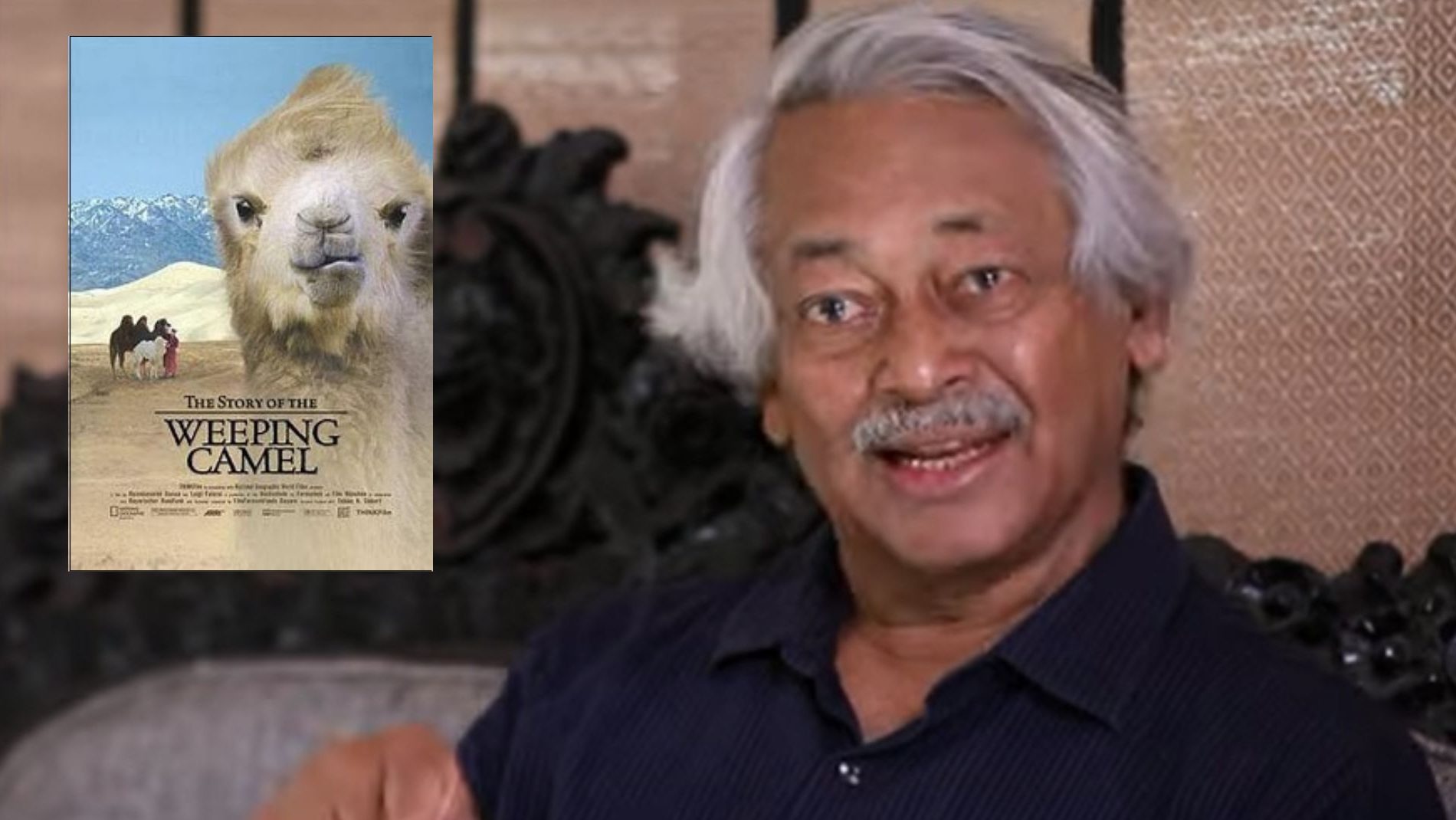 ಸಾಕ್ಷ್ಯ ಚಿತ್ರಕ್ಕೆ, ಕಥಾ ಚಿತ್ರದ ಲೇಪನ: ದ ಸ್ಟೋರಿ ಆಫ್ ದ ವೀಪಿಂಗ್ ಕ್ಯಾಮಲ್